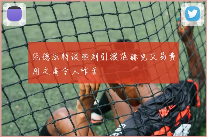 范德法特谈热刺引援范赫克交易费用之高令人咋舌